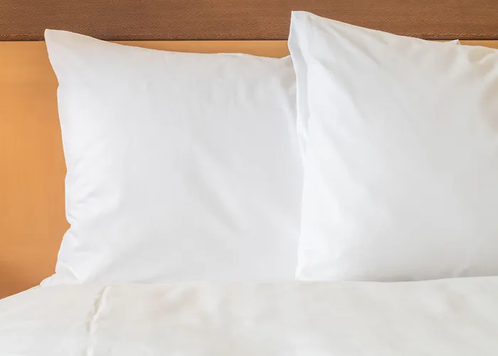 Express Chicago-downers Grove By Ihg Hotel 2*