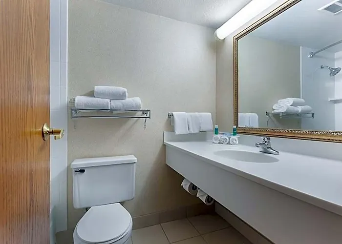 Hotel Express Chicago-downers Grove By Ihg 2*